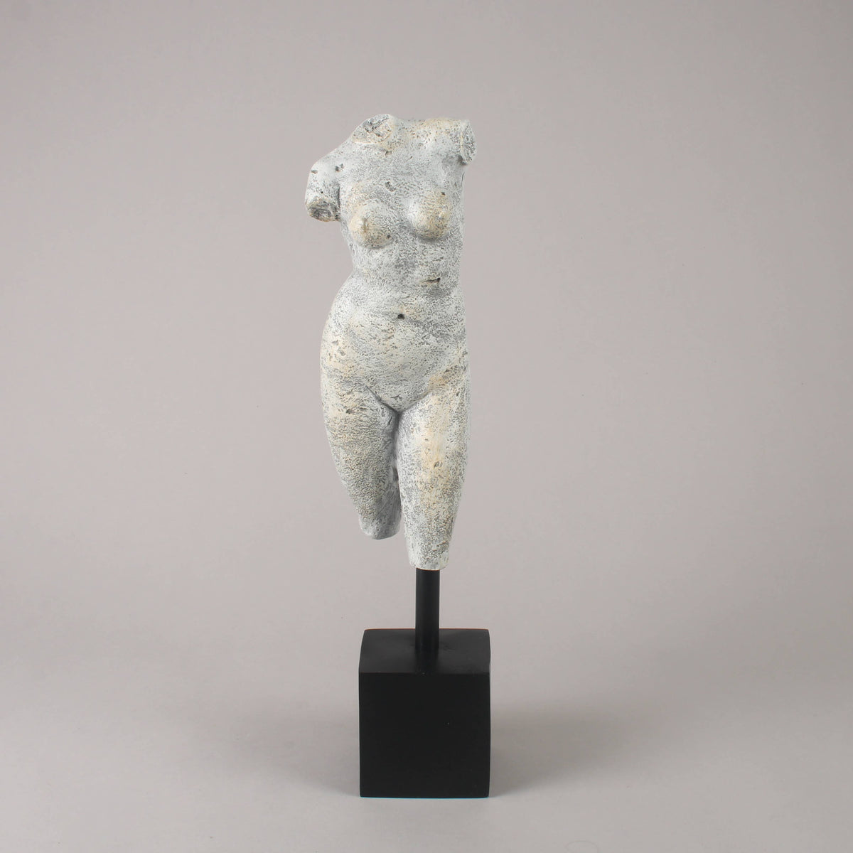Venus Torso Art Sculpture