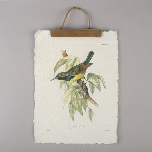 Vintage Bird Wall Hanging– Colorful Botanical Handmade Print