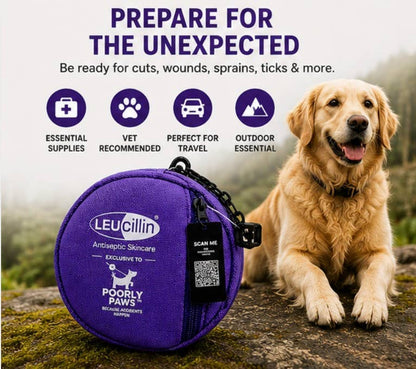 Leucillin & Poorly Paws First Aid Kit