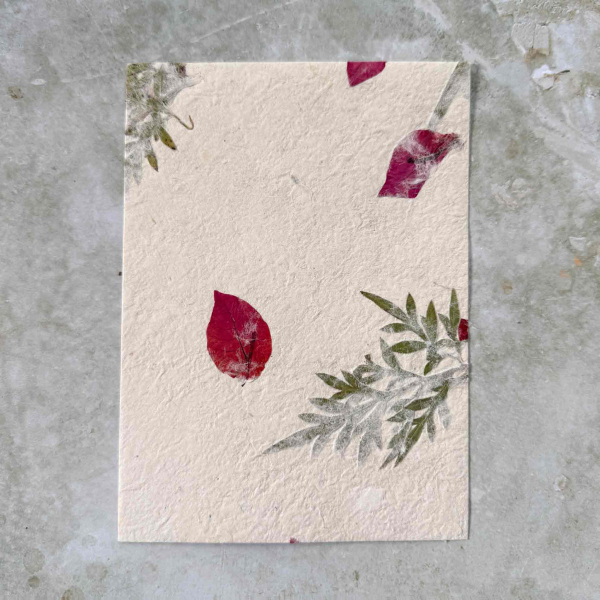 Nepalese Handmade Lokta Paper - Mugwort & Bougainvillea