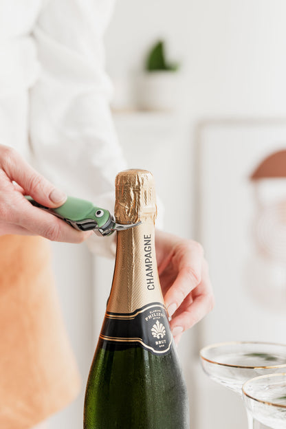 Budgie Bottle Openers