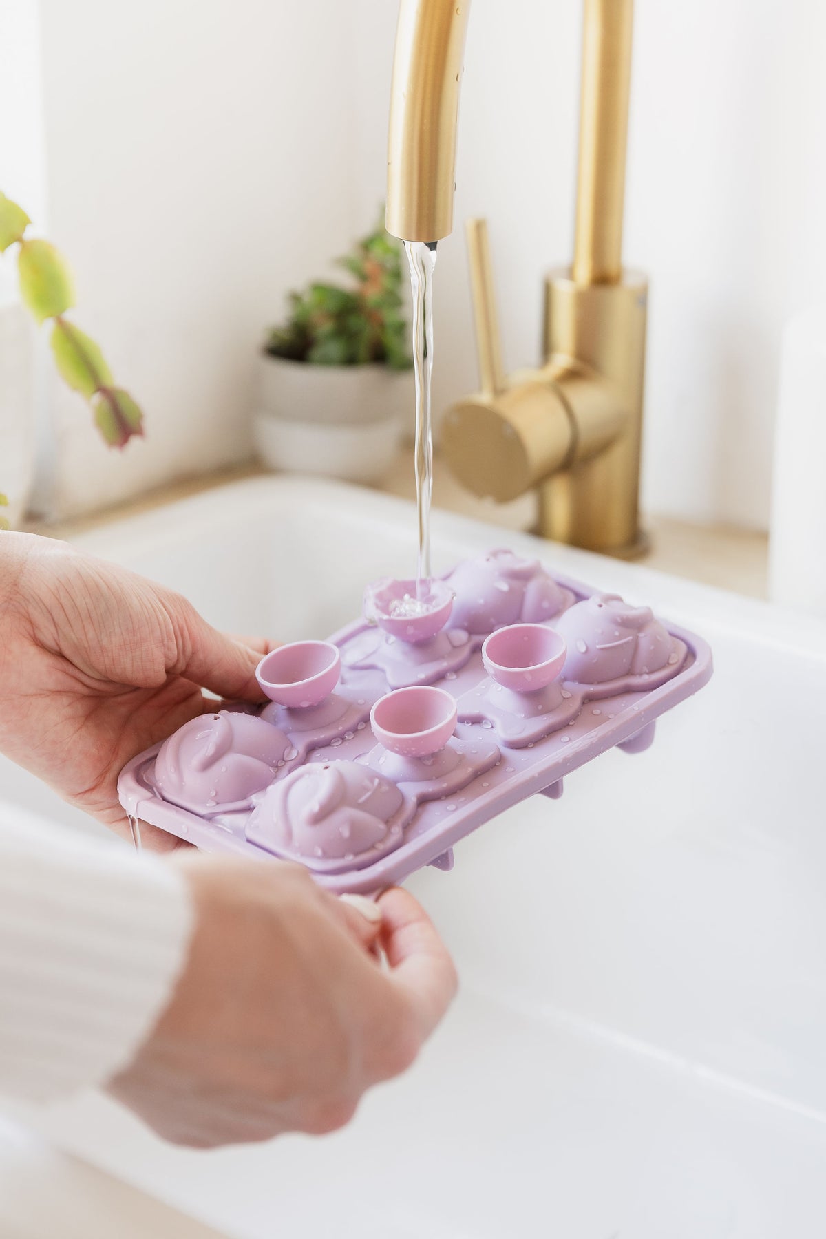 Cool Cats Ice Tray
