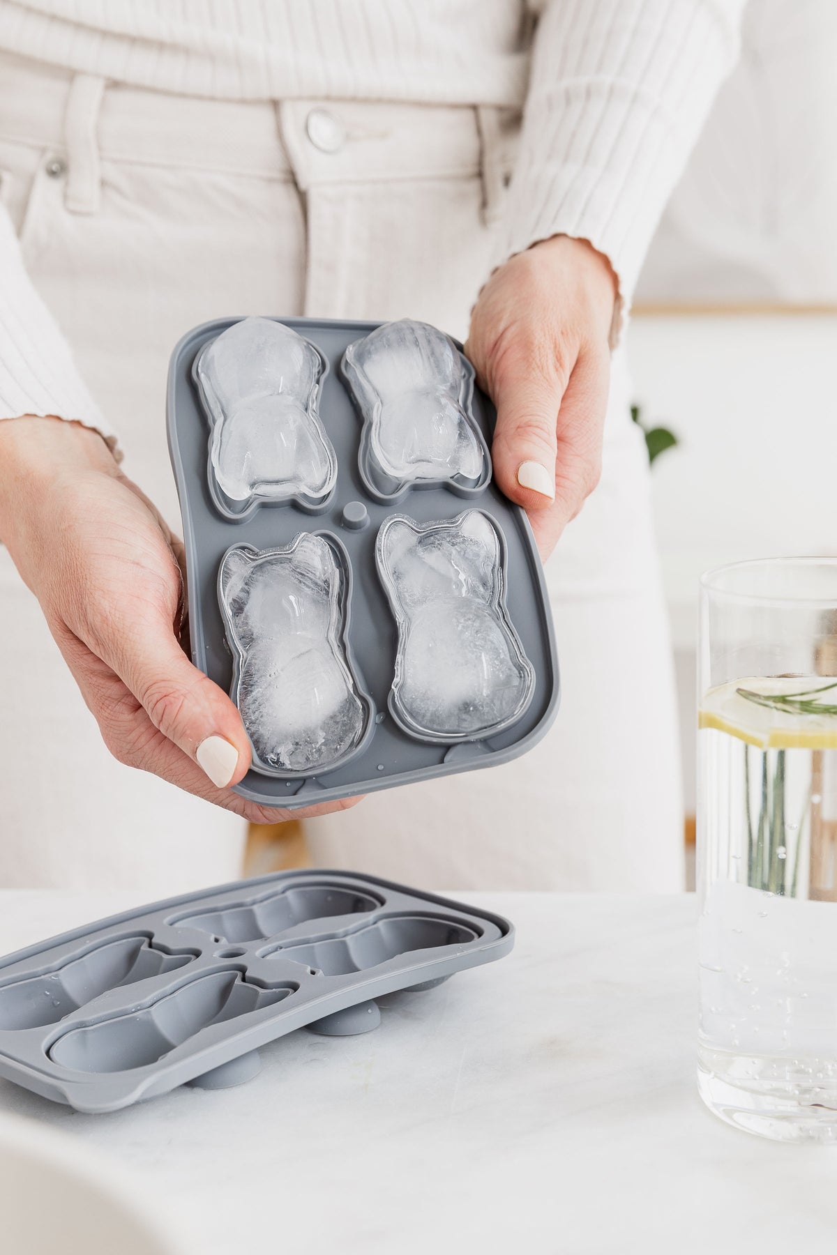 Frenchie Dog Ice Tray