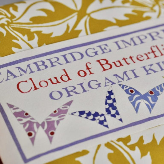 Origami Cloud Of Butterflies Kit