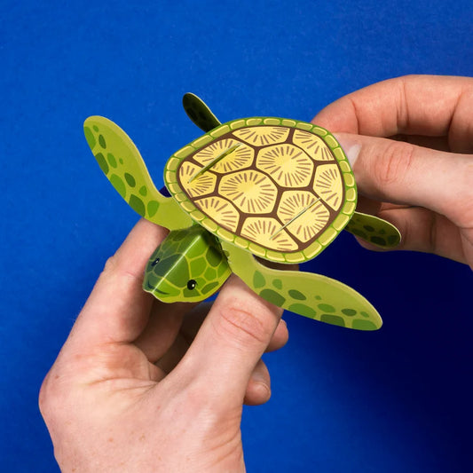 Create Your Own Swimming Baby Turtle