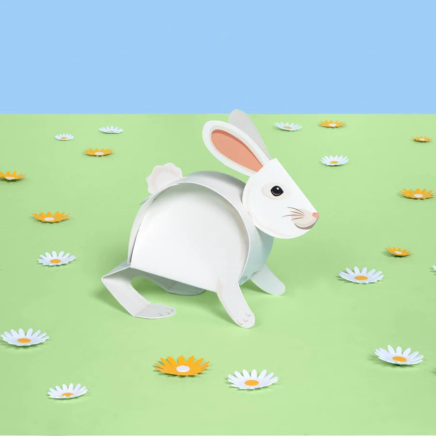 Create Your Own Bouncing Bunny