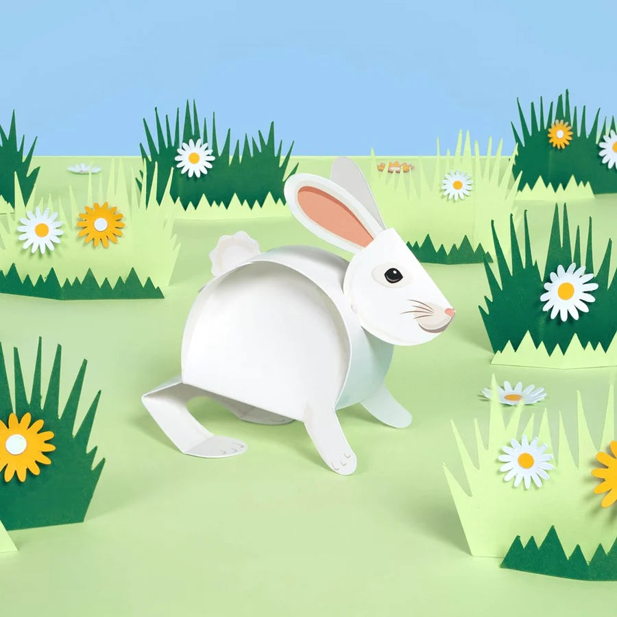 Create Your Own Bouncing Bunny