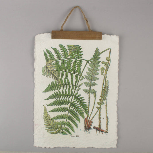 Vintage Fern Wall Hanging – Botanical Plant Illustration