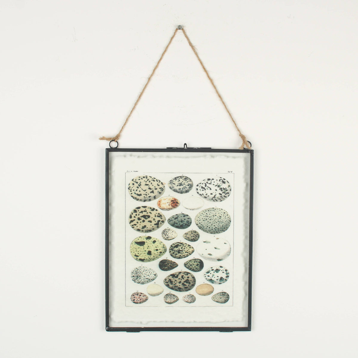 Hanging Black Frame with Bird Eggs Print on Handmade Paper