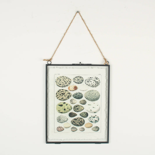Hanging Black Frame with Bird Eggs Print on Handmade Paper